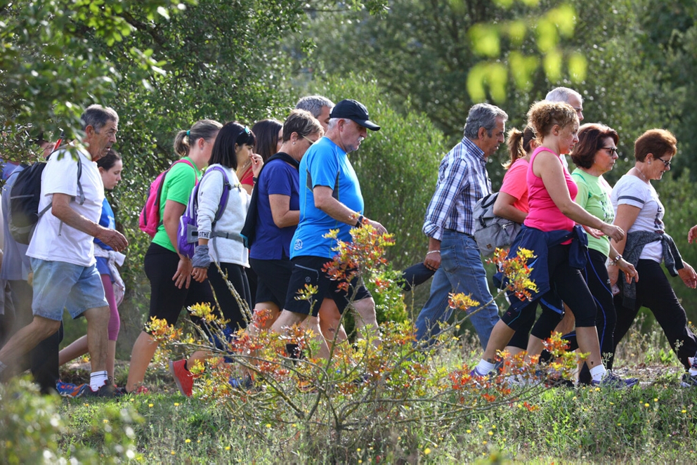 Foto 93 de la Marcha Solidaria Green 2019