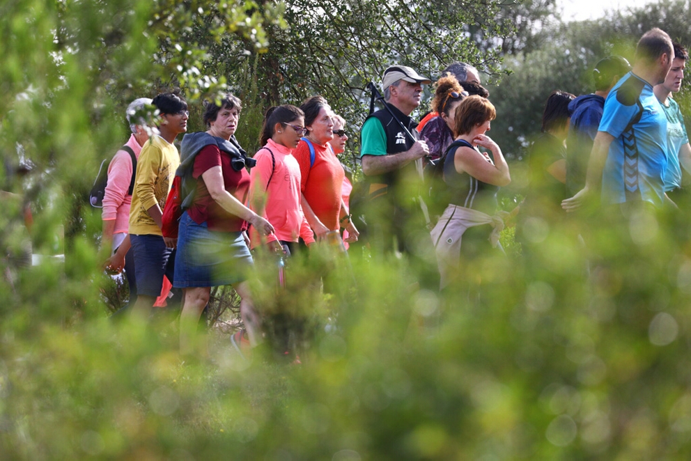 Foto 96 de la Marcha Solidaria Green 2019