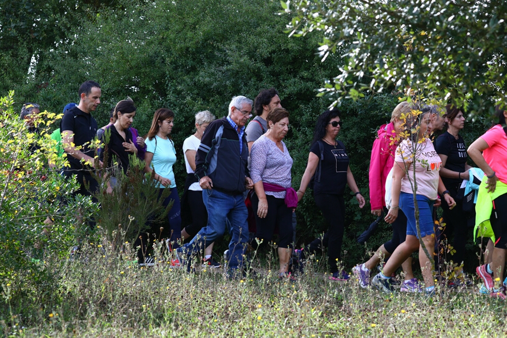 Foto 98 de la Marcha Solidaria Green 2019