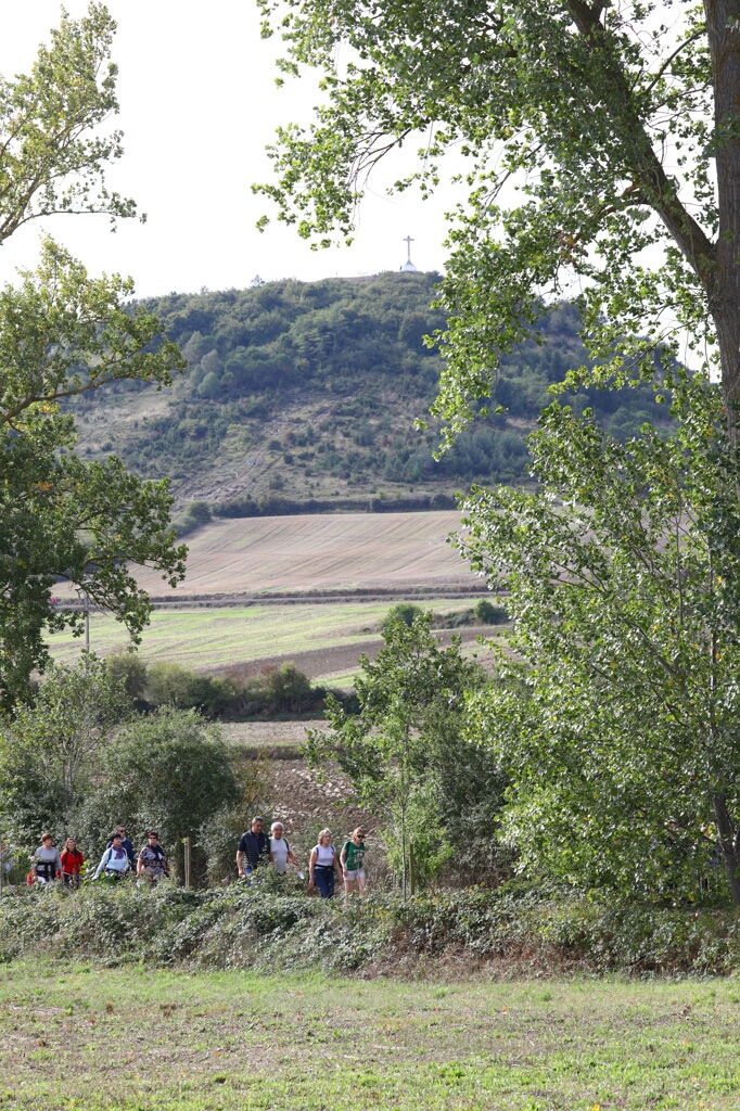 Foto 113 de la Marcha Solidaria Green 2019