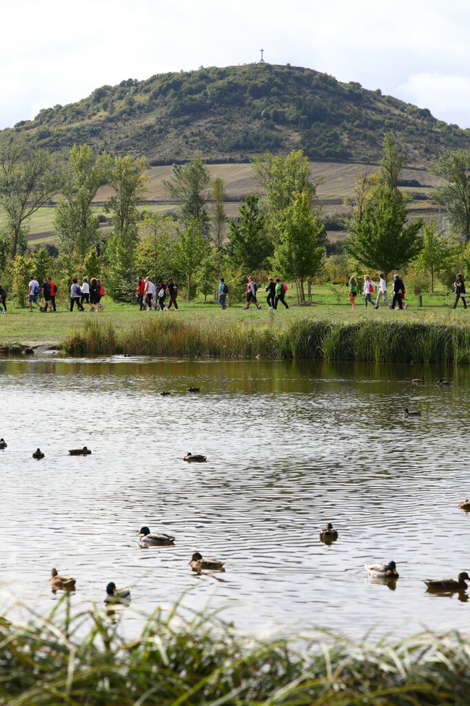 Foto 115 de la Marcha Solidaria Green 2019