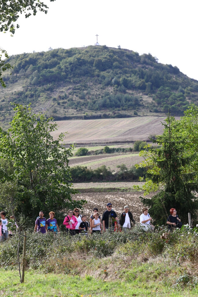 Foto 119 de la Marcha Solidaria Green 2019