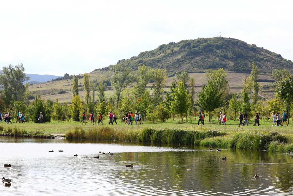 Foto 125 de la Marcha Solidaria Green 2019