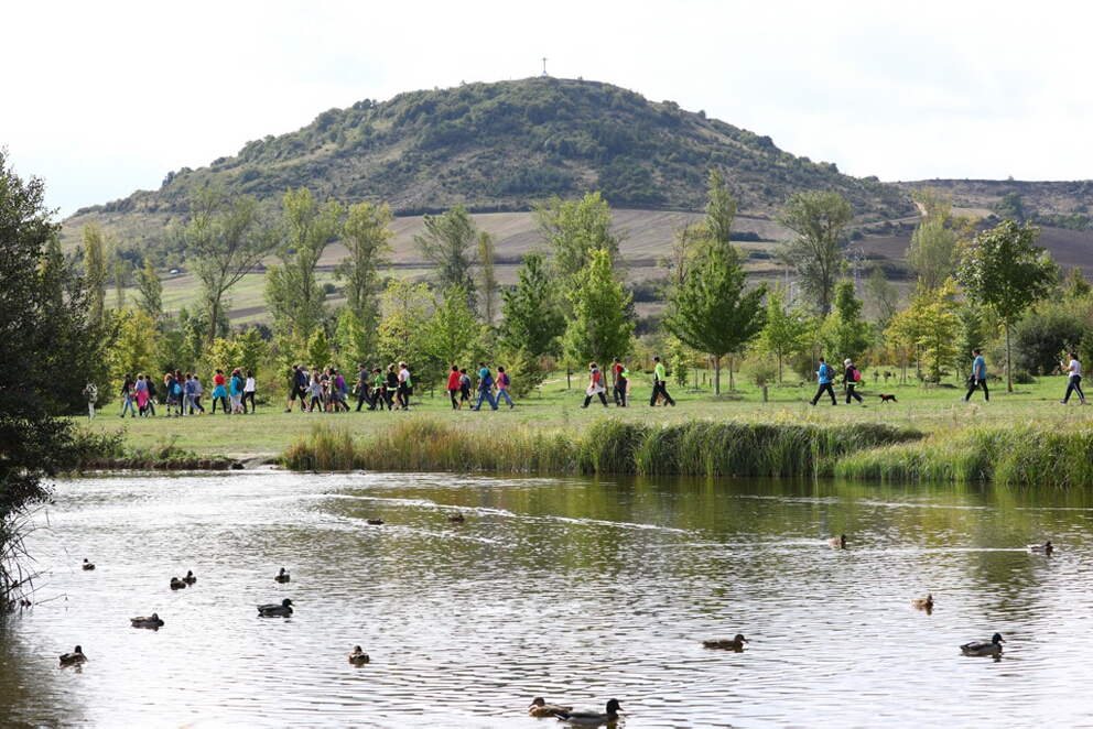 Foto 131 de la Marcha Solidaria Green 2019
