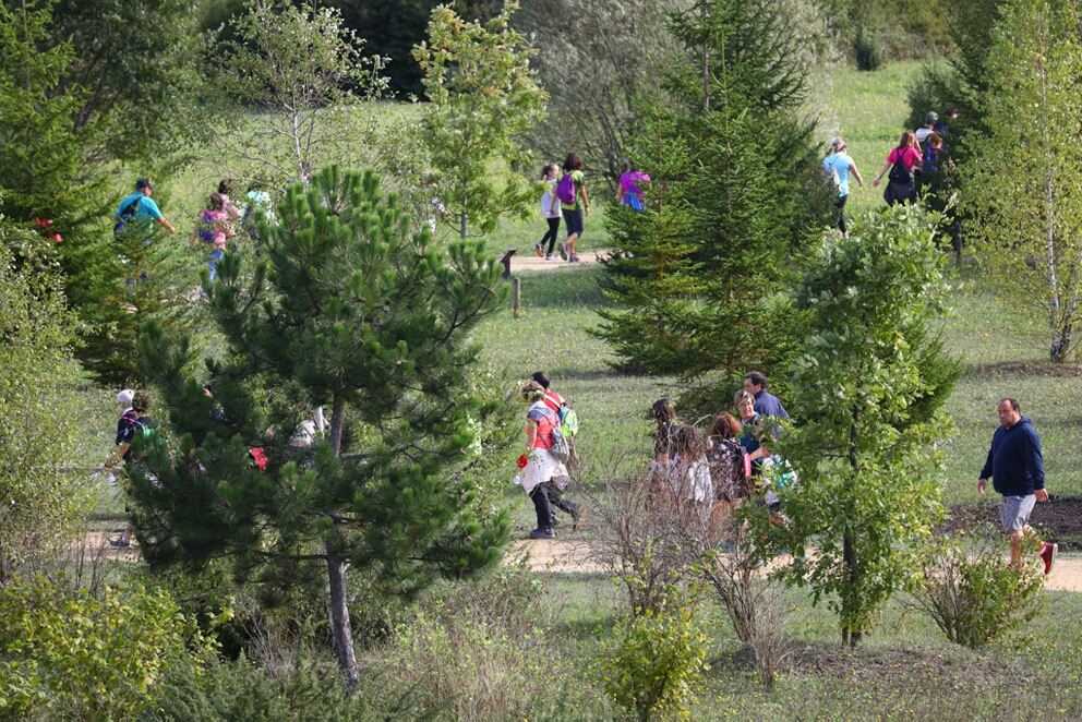 Foto 140 de la Marcha Solidaria Green 2019