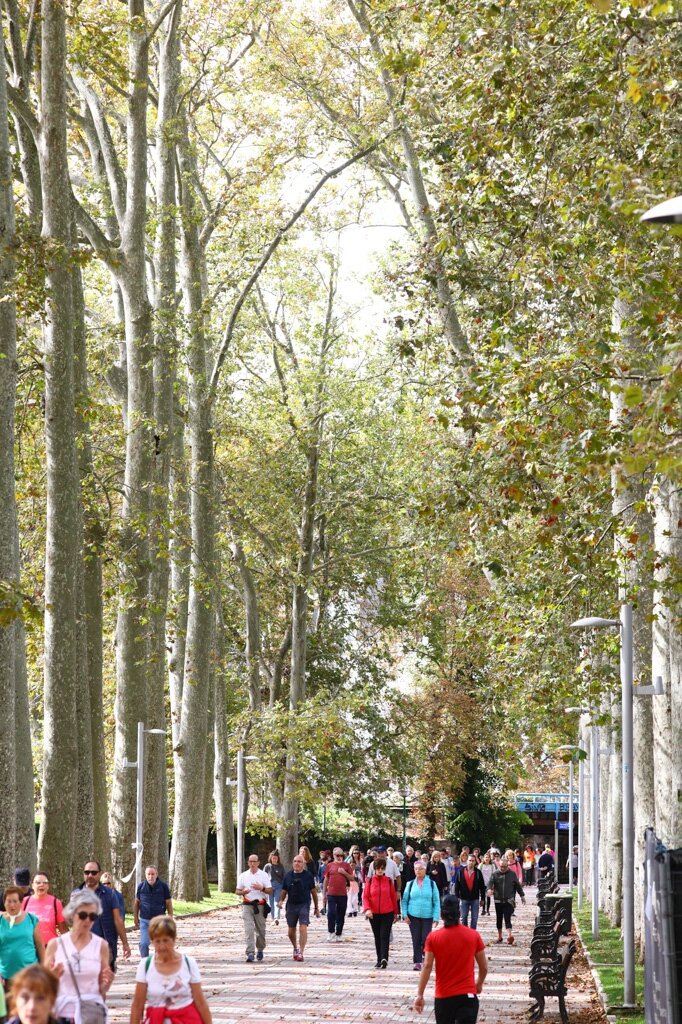 Foto 154 de la Marcha Solidaria Green 2019
