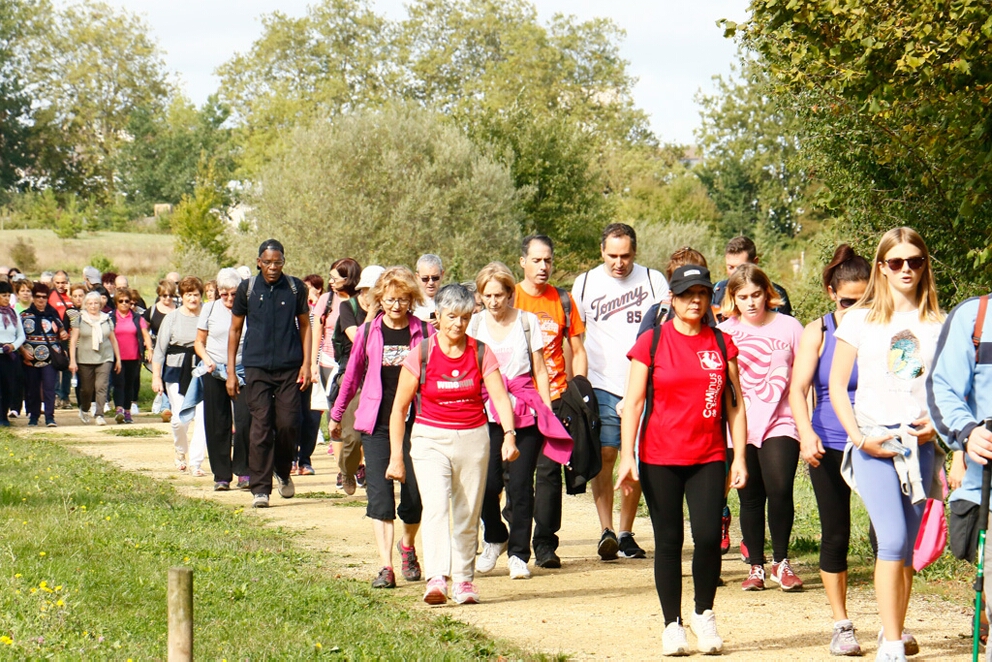Foto 187 de la Marcha Solidaria Green 2019