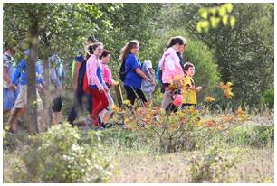 Foto 91 de la Marcha Solidaria Green 2019