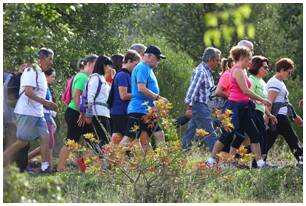 Foto 93 de la Marcha Solidaria Green 2019