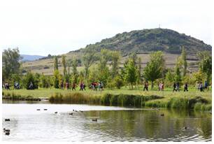 Foto 125 de la Marcha Solidaria Green 2019