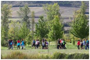Foto 130 de la Marcha Solidaria Green 2019