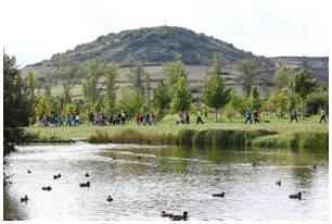 Foto 131 de la Marcha Solidaria Green 2019