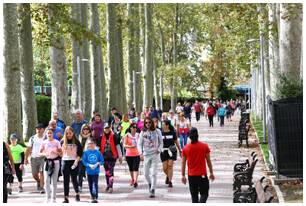 Foto 176 de la Marcha Solidaria Green 2019