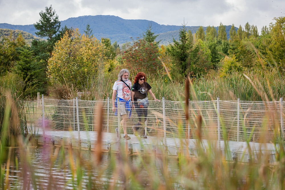 Click to See Next Image