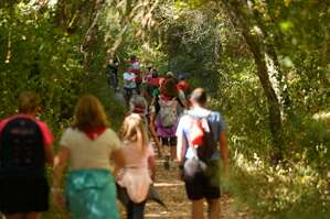 Haz click para ampliar